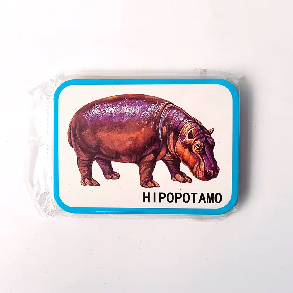 Flash card inglés y español