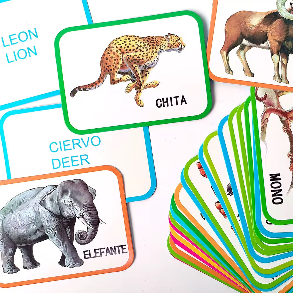 Flash card inglés y español