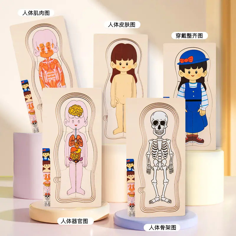 Rompecabezas cuerpo humano