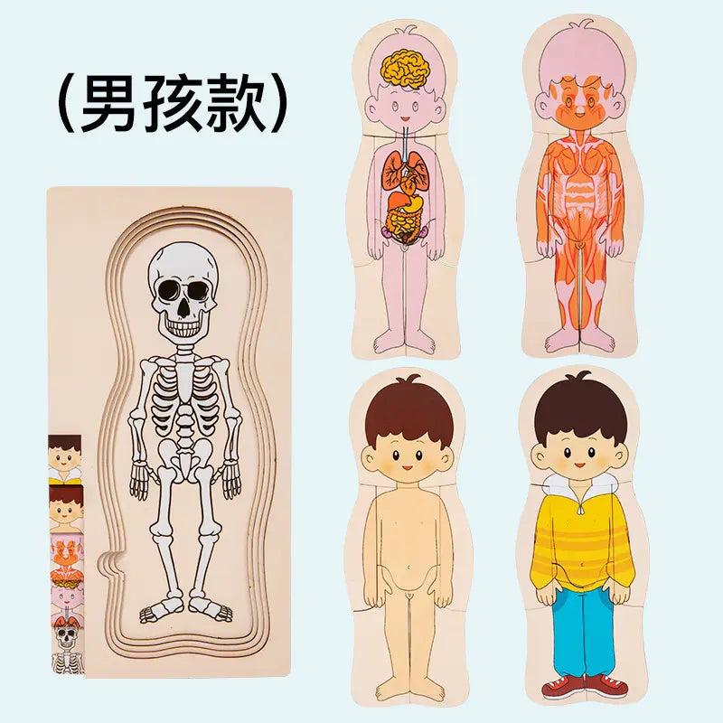 Rompecabezas cuerpo humano